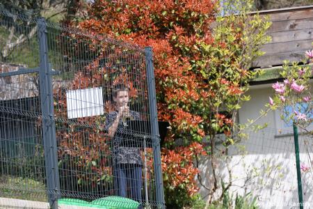 Dan športa na Osnovni šoli Stranje (72)